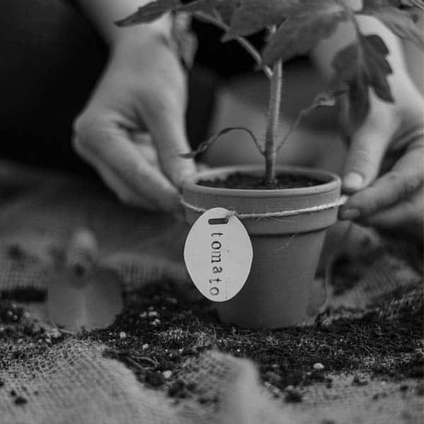 gardening Gardening