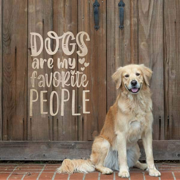 mockup dogs are my dogs are my favorite overlay